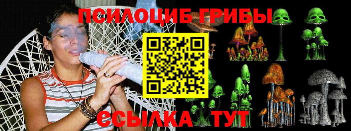 Псилоцибиновые грибы Psilocybine cubensis  Вход с VPN  купить закладку  Ачхой-Мартан 